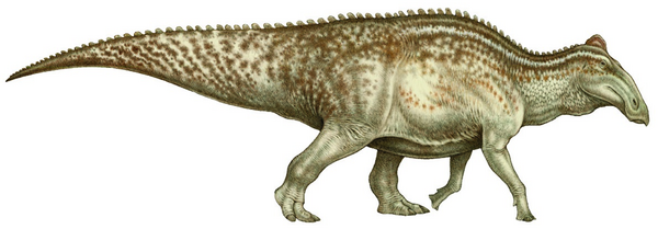 An artists reconstruction of Edmontosaurus.  Creative Commons License by Natee Puttapipat